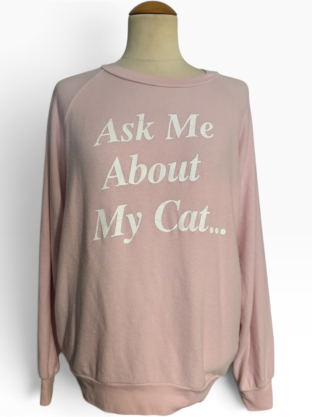 Wildfox Ask Me About My Cat Sweatshirt Pink Size L